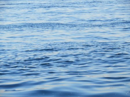 エソ‼ESO‼えそ‼